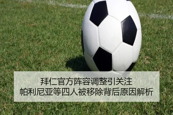 拜仁官方阵容调整引关注 帕利尼亚等四人被移除背后原因解析