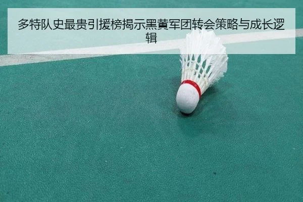 多特队史最贵引援榜揭示黑黄军团转会策略与成长逻辑